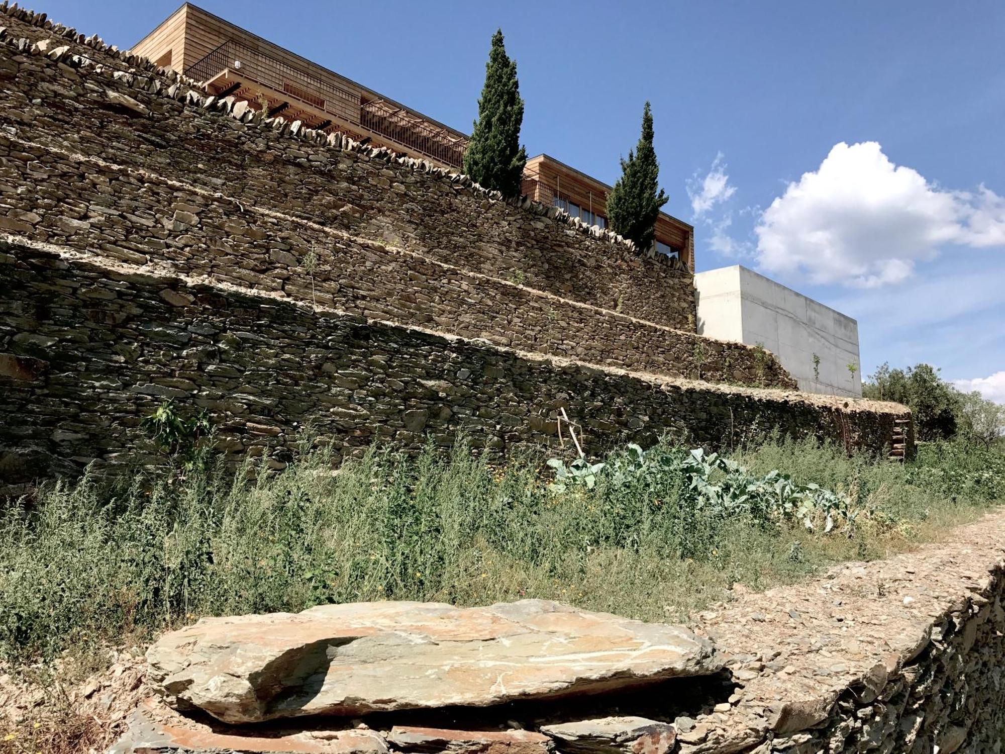Quinta De Santa Marinha ξενώνας Castedo Εξωτερικό φωτογραφία